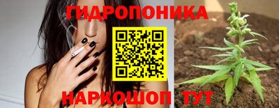 apvp Волгодонск