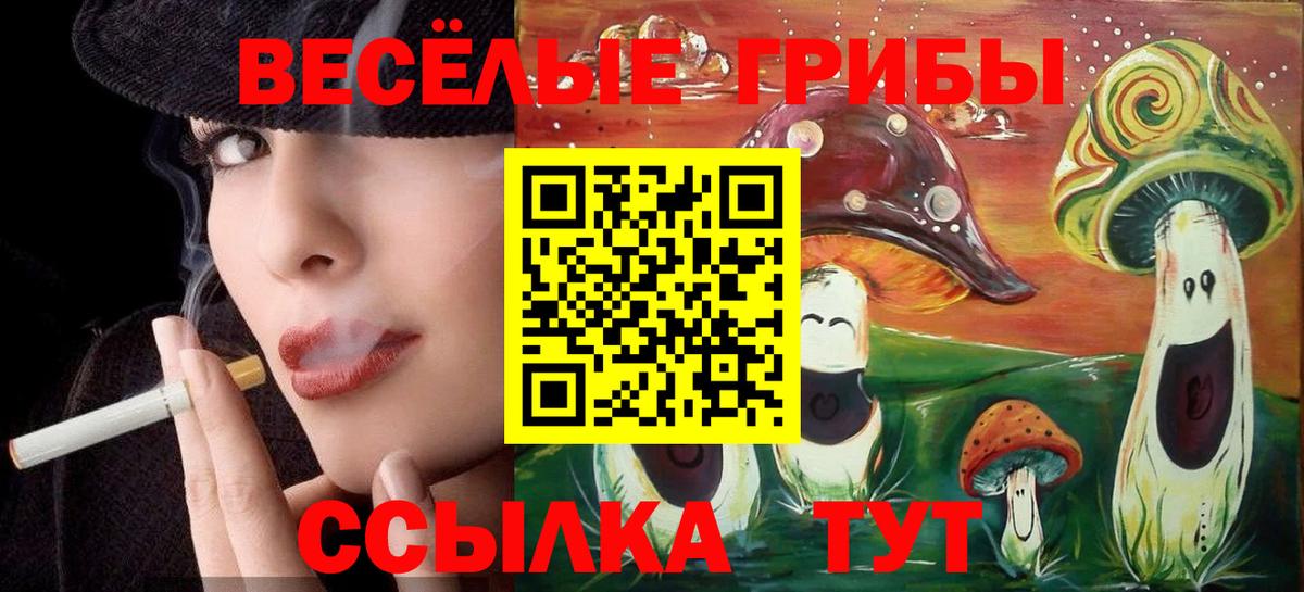 Псилоцибиновые грибы Cubensis  Псилоцибиновые грибы ЛСД  Миасс  Вход с VPN 